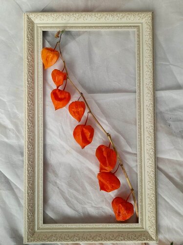 Изображение товара Багетная рама для картины (подрамника) 50х70 см (внутренний размер)