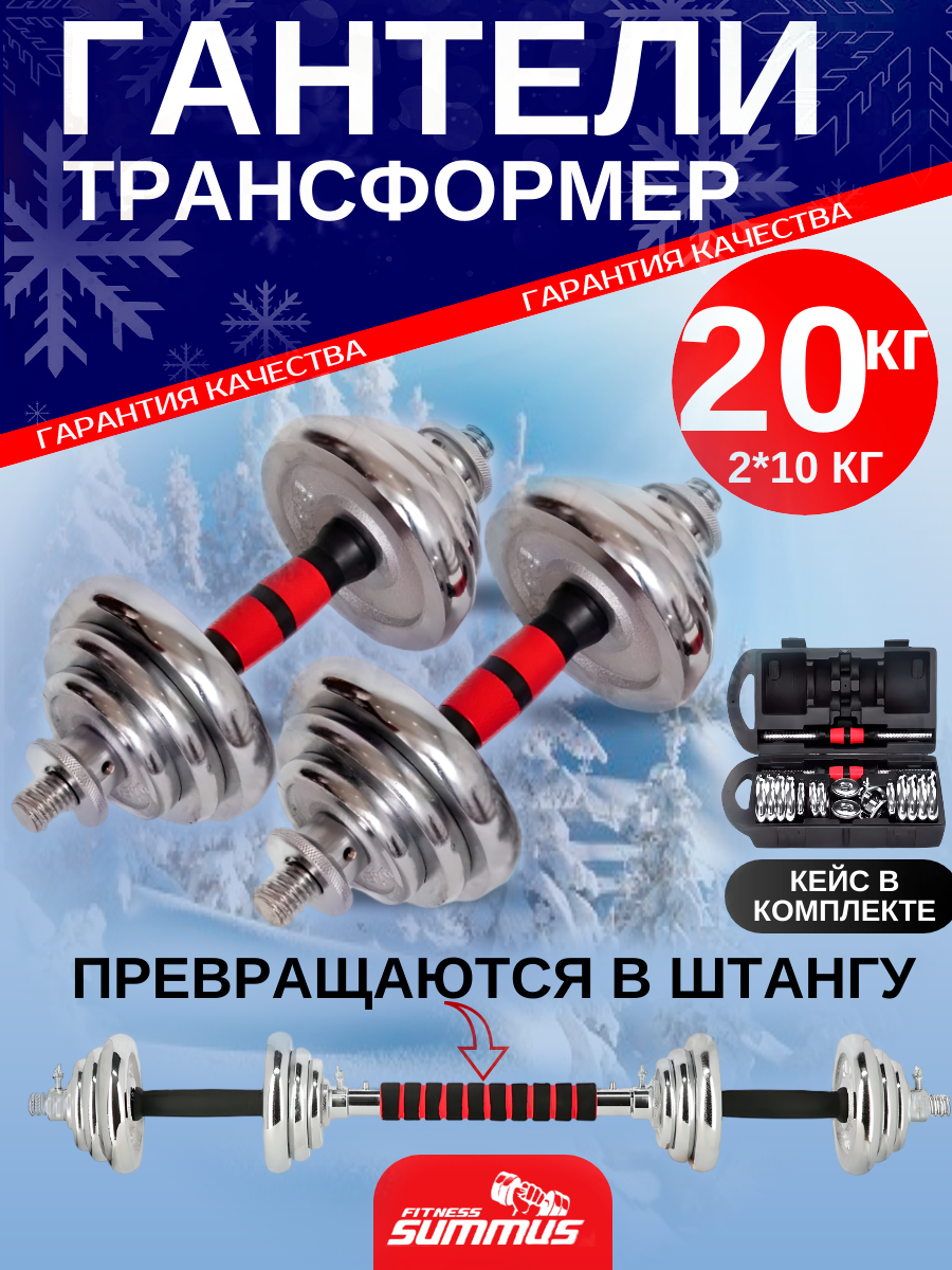 Гантели разборные стальные в кейсе 2 шт по 10кг с коннектором для штанги