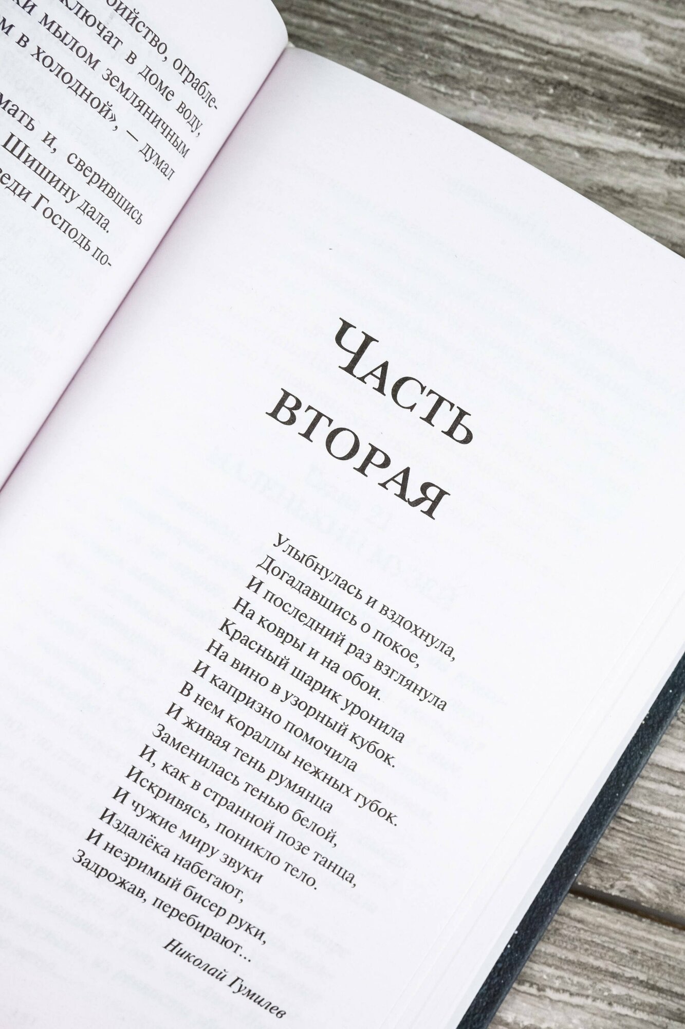 Убить Бобрыкина. САШАШИШИН (Николаенко Александра Вадимовна) - фото №11