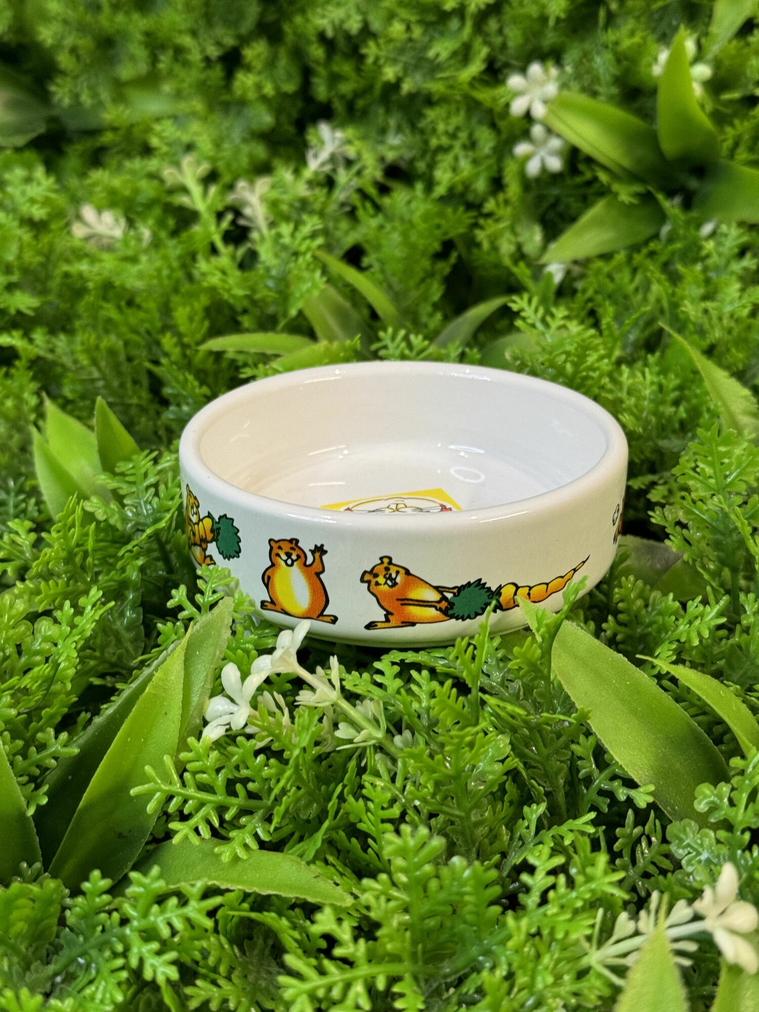 Керамическая миска для кролика морской свинки и других грызунов (миска Грызун)