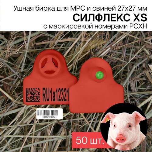 Бирки ушные для МРС, свиней и бездомных животных с маркировкой рсхн+стикер 50 шт. Силфлекс XS 27х27мм красные