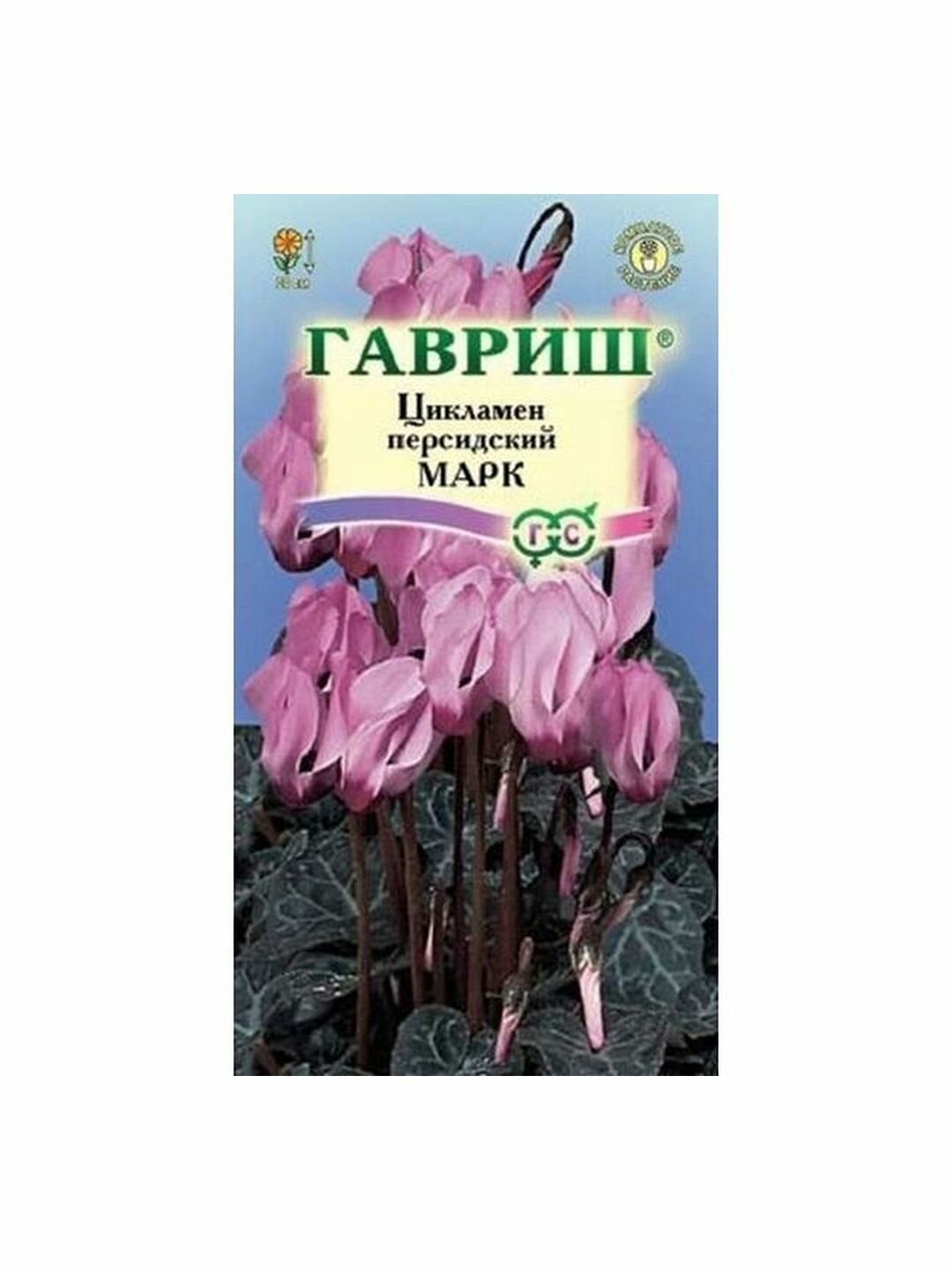 Семена Цикламен Марк многолетние комнатные Гавриш 1 пачка - 3 семя