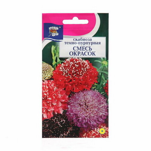 Семена цветов Скабиоза, Смесь окрасок, 0.2 г, 3 шт.