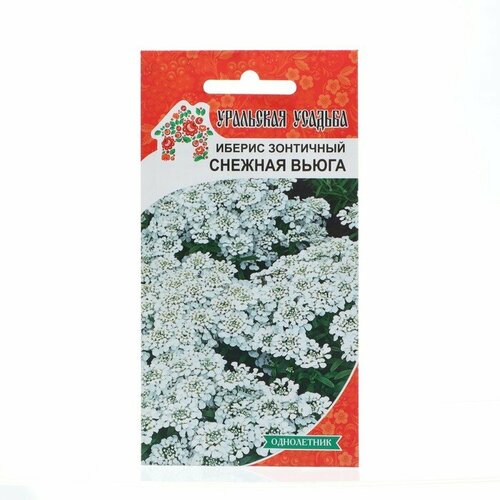 Семена Цветов Иберис зонтичный Снежная вьюга , 0 ,2 г , иберис лилициана зонтичный 0 3г одн 30см поиск ароматный сад 10 пачек семян