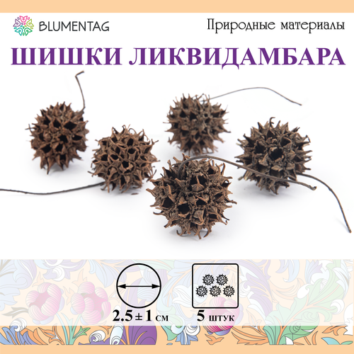 Шишки для декора, поделок Blumentag PIF-09, 2.5 см, 5 шт. 15 г Ликвидамбар