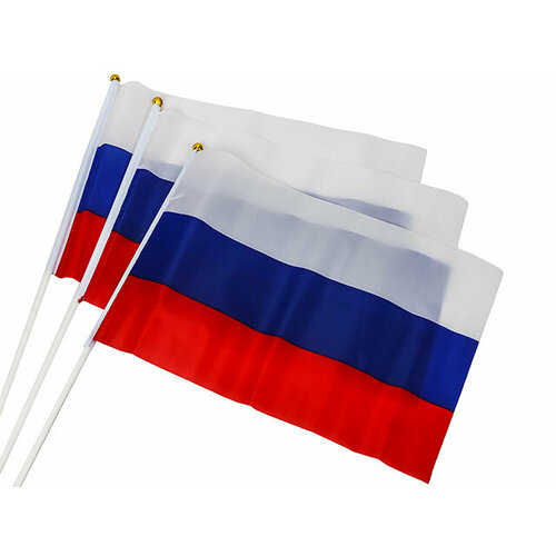 FLAG Флаг России триколор 20х30 (3 шт.)