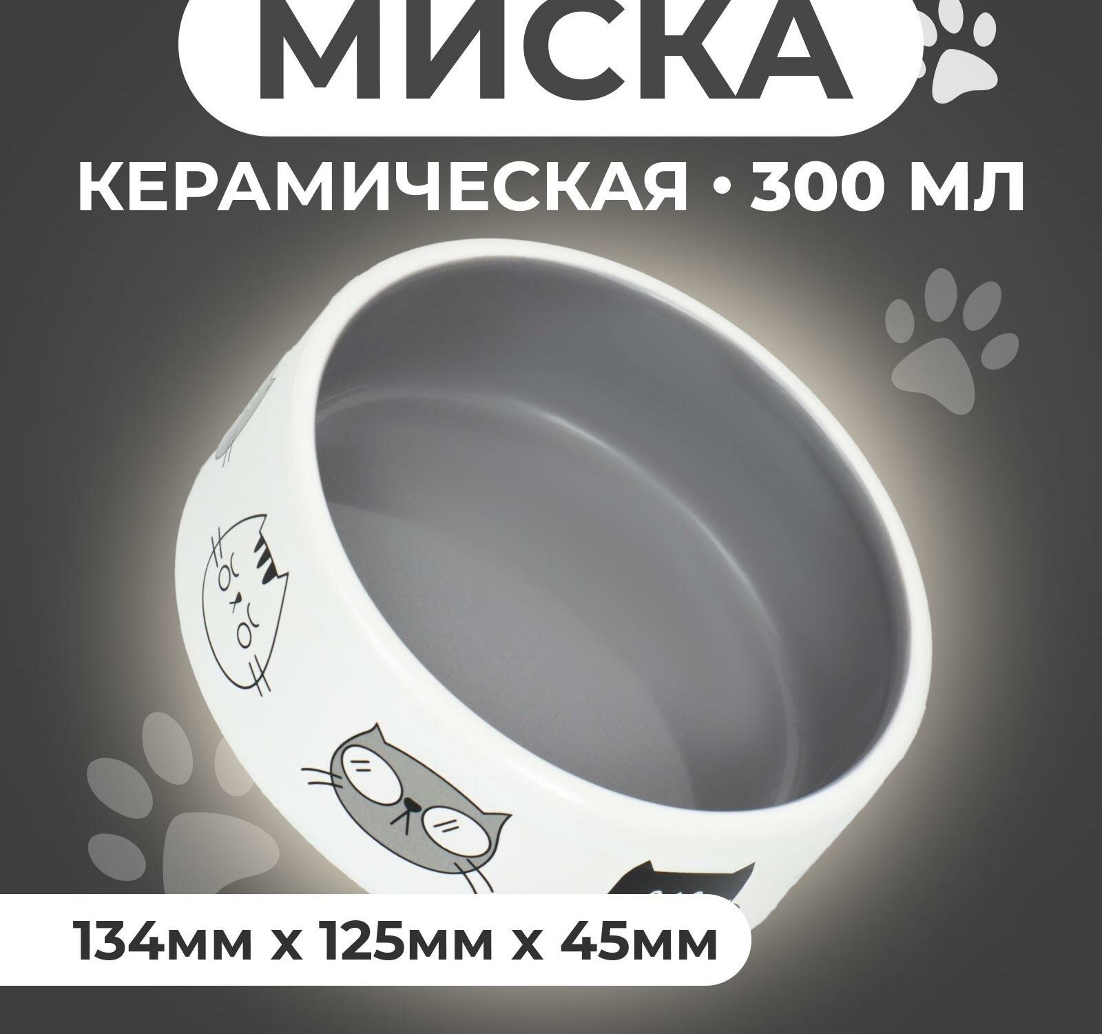 Миска керамическая "Четыре кота" 300 мл 12,5 x 4,5 cм, бело-серая