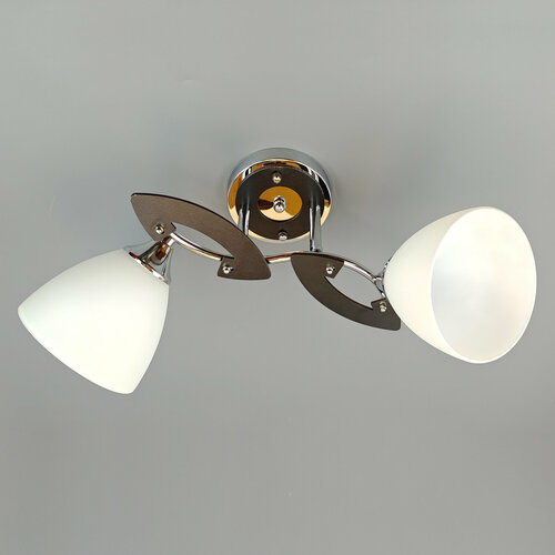 Люстра потолочная, светильник подвесной JUPITER LIGHTING N01-1715/2, E27, 2х60 Вт
