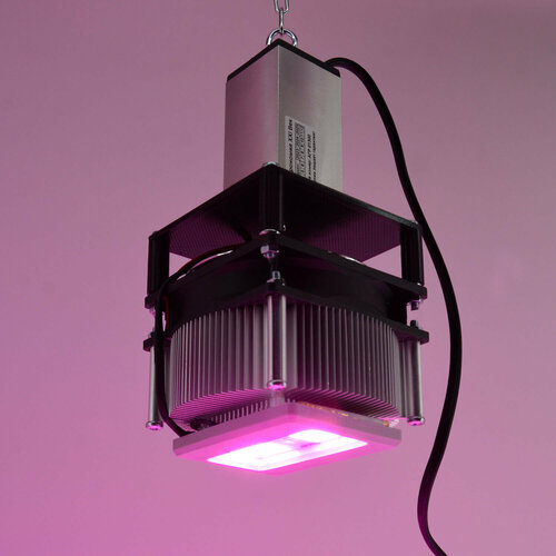 Мощный фитосветильник на радиаторе Заурак 100Вт мощный led светильник для гроубоксов и теплиц хедус 200 вт 24 000 lux