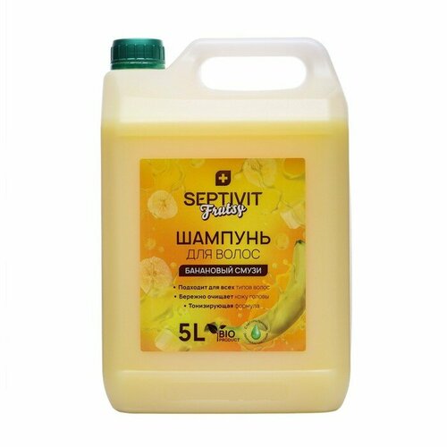 Шампунь для волос Frutsy SEPTIVIT Банановый смузи 5 л комплект из 2 шт 2768₽