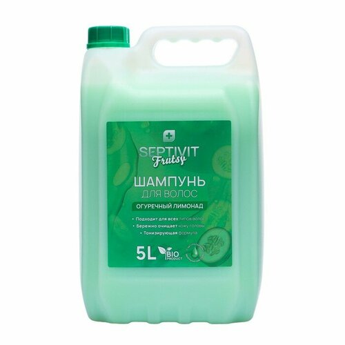 Шампунь для волос Frutsy SEPTIVIT Огуречный лимонад 5 л 2015₽