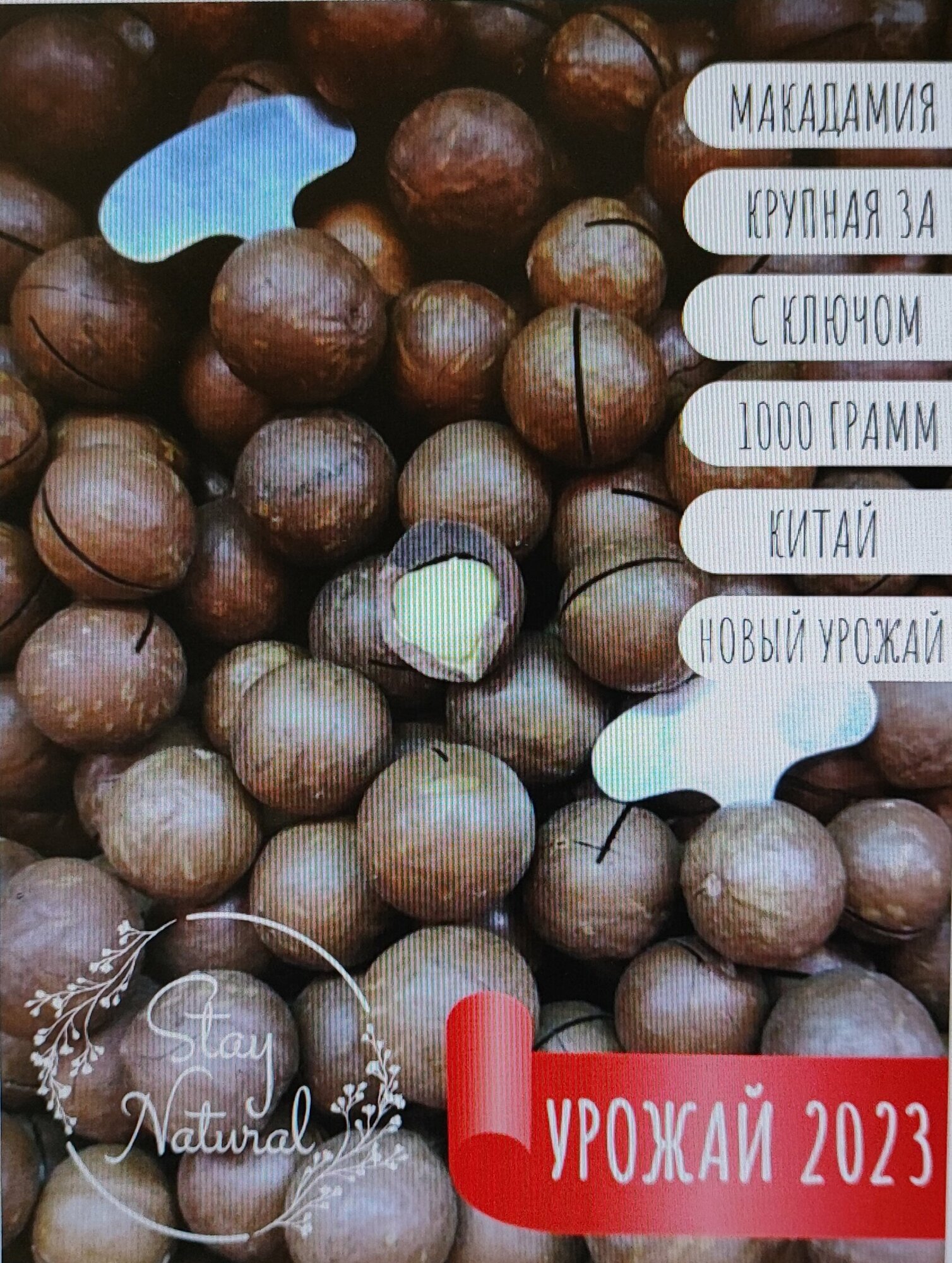 Макадамия в скорлупе 3А с распилом и ключом 1 кг / свежий урожай без горечи — фото 1