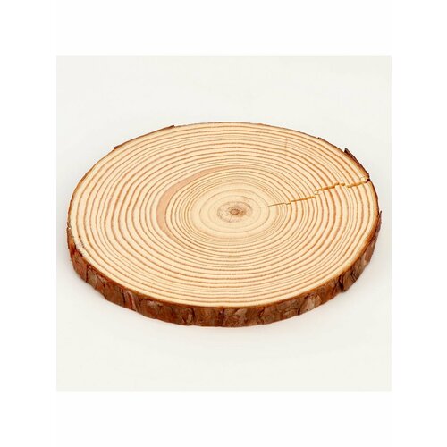 Деревянный декор Спил спил дерева осина диаметр 13 см