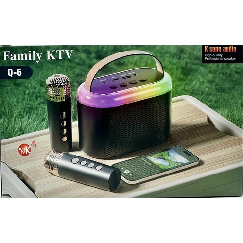 Детская караоке система с двумя беспроводными микрофонами и колонкой 2500₽