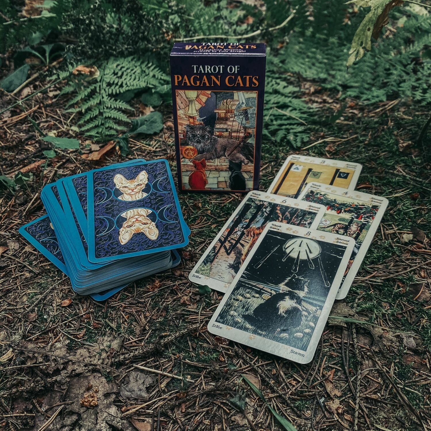 Таро Языческих кошек (Tarot of Pagan Cats)