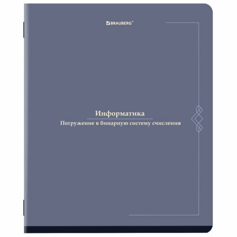 Тетрадь предметная VINTAGE 48 л, SoftTouch, информатика, клетка, подсказ, BRAUBERG, 405154