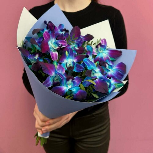 Изображение товара 15 космических орхидей дендробиум от Bestflo купить с доставкой