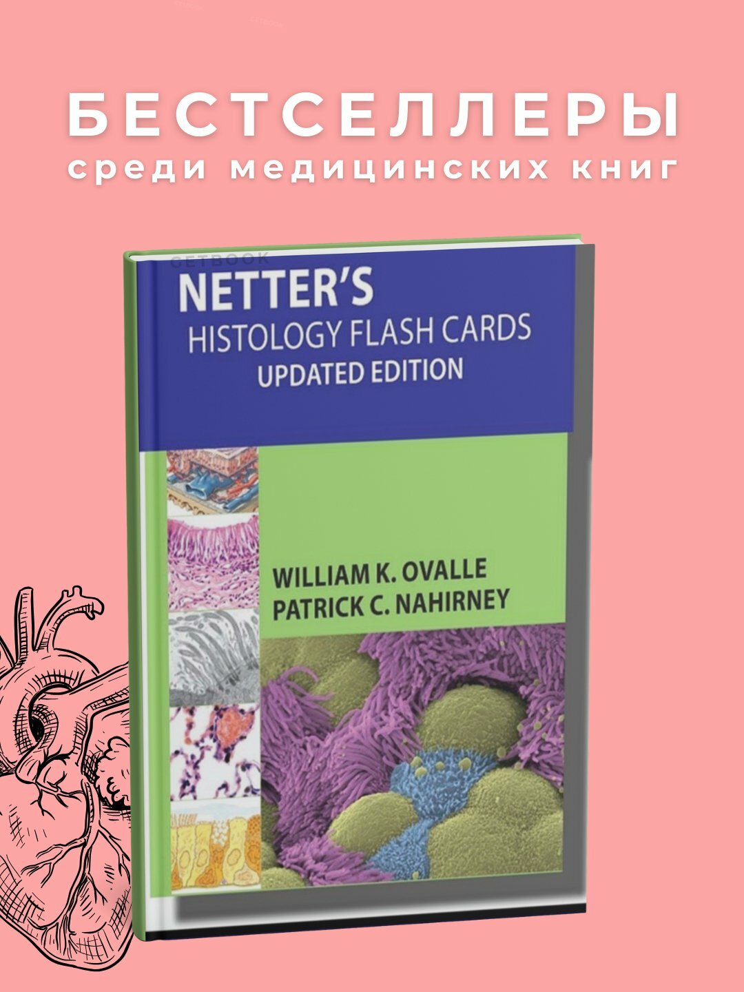 Книга "Histology Flash Cards", 2025 г, черно-белые иллюстрации, мягкий переплет