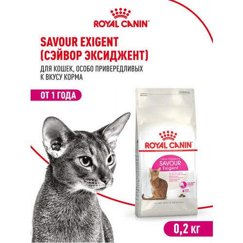 Корм для кошек Royal Canin Savour Exigent (Сэйвор Экзиджент) сухой сбалансированный для привередливых взрослых кошек от 1 года, 0,2 кг