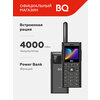Фото BQ 2010 Talkie