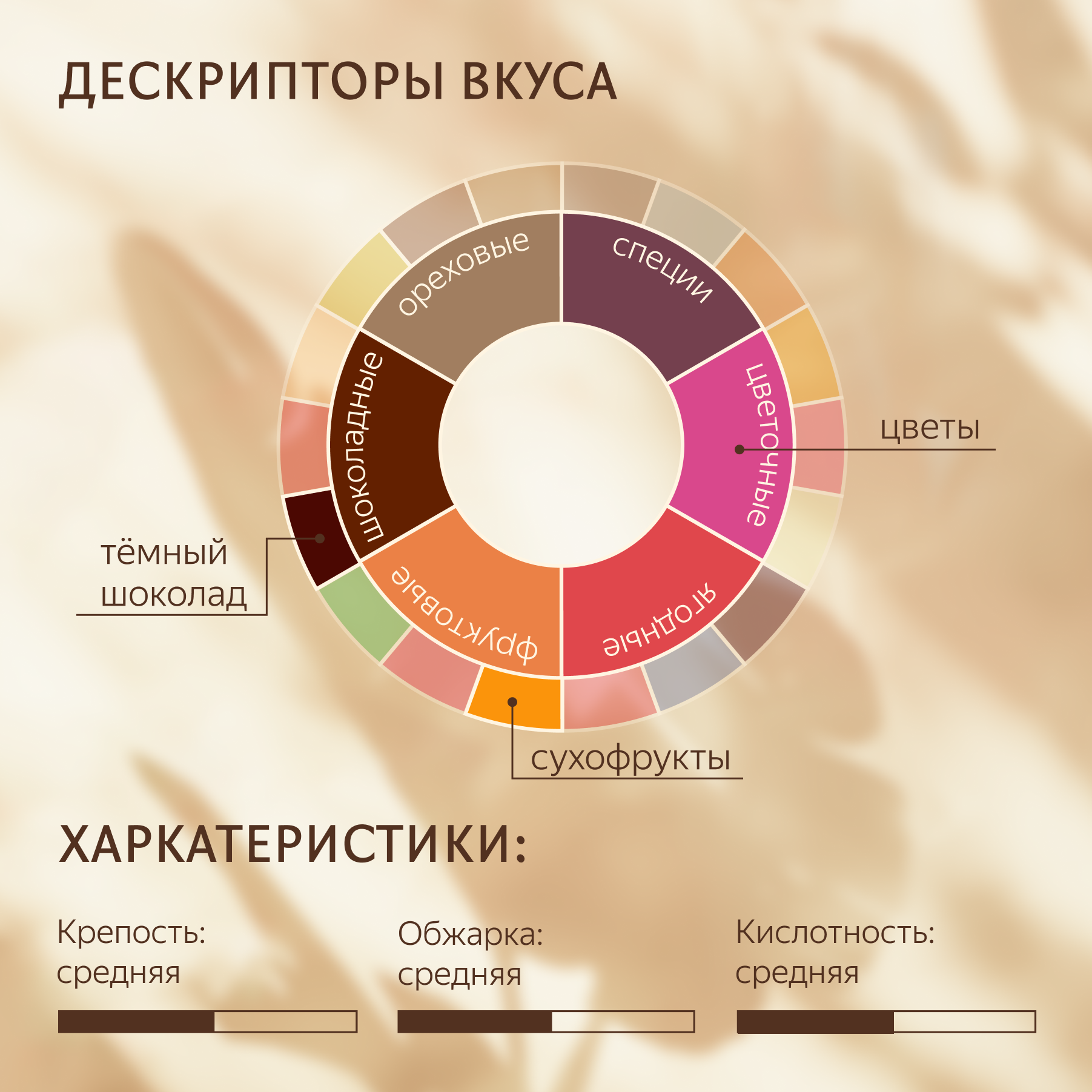 Кофе в зернах Terruar Эфиопия 100%, 1 кг