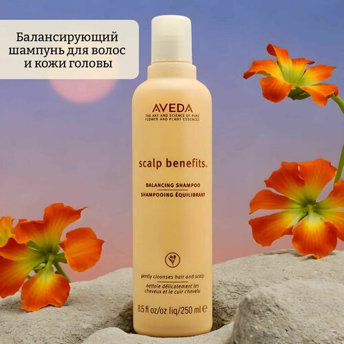 Балансирующий шампунь для волос и кожи головы scalp benefits balancing shampoo aveda балансирующий шампунь для волос и кожи головы scalp solutions balancing shampoo 200 мл