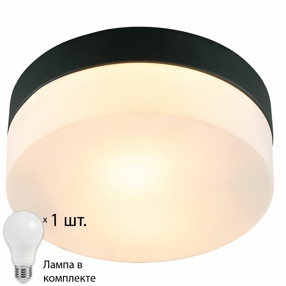 Светильник с лампочкой Arte lamp Aqua-tablet A6047PL-1BKLamps