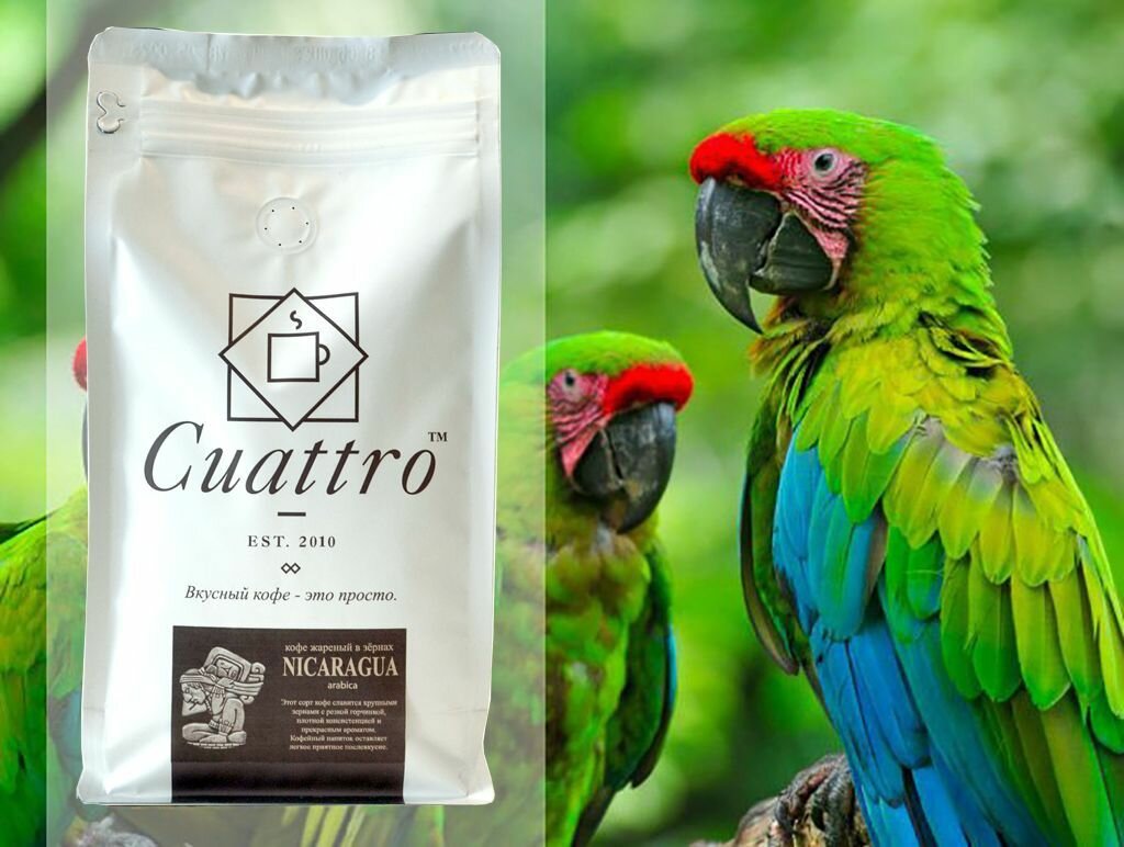 Кофе в зернах CUATTRO Никарагуа 500 г, арабика