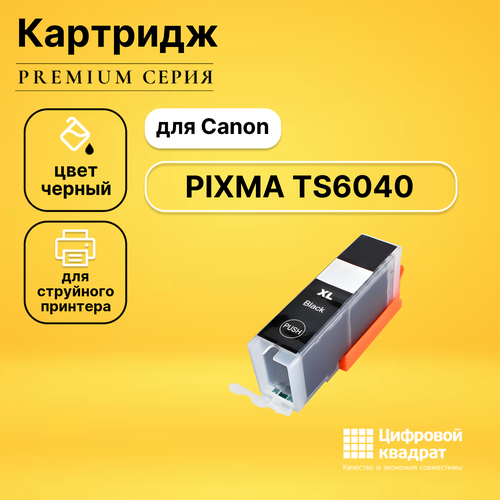 Картридж DS PIXMA TS6040