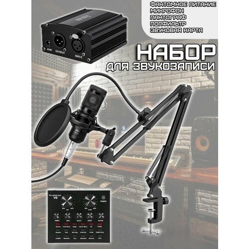 Микрофон студийный Набор для звукозаписи 499400₽
