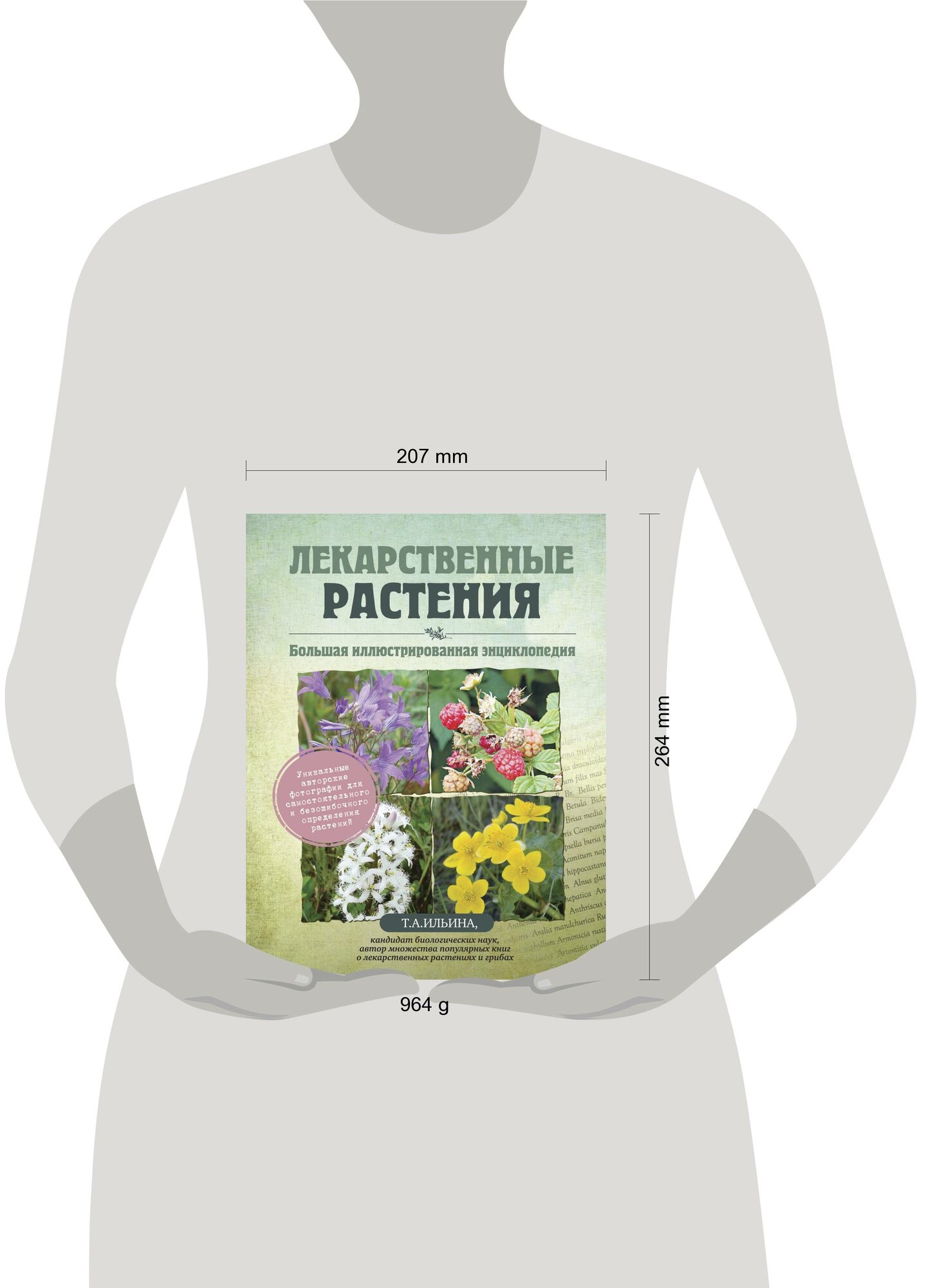 Лекарственные растения. Большая иллюстрированная энциклопедия - фото №19