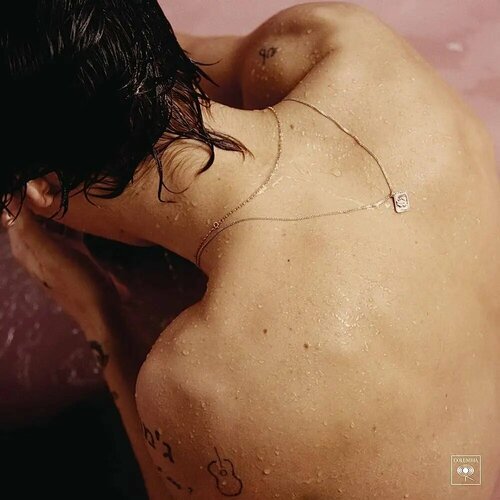 виниловая пластинка разные хоризонт 12 lp HARRY STYLES - HARRY STYLES (LP) виниловая пластинка