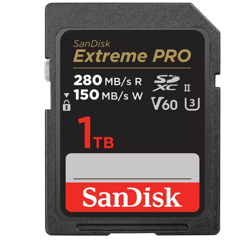 Карта памяти SanDisk 1Tb SDSDXEP-1T00-GN4IN