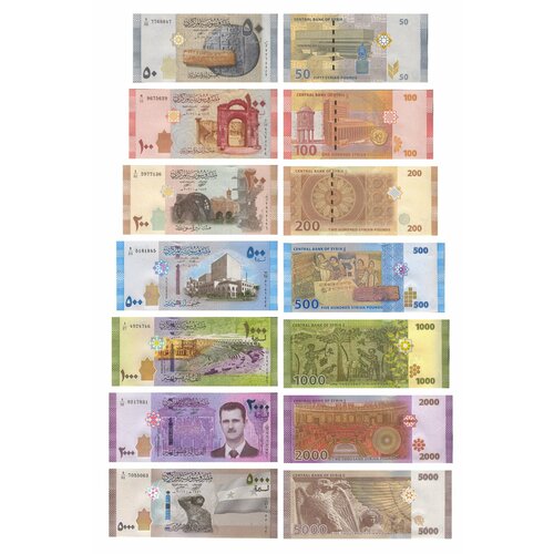 Набор банкнот Сирия 50, 100, 200, 500, 1000, 2000, 5000 фунтов 2009-2019г