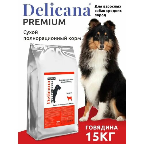 Сухой корм Delicana для взрослых собак средних пород, говядина, 15 кг