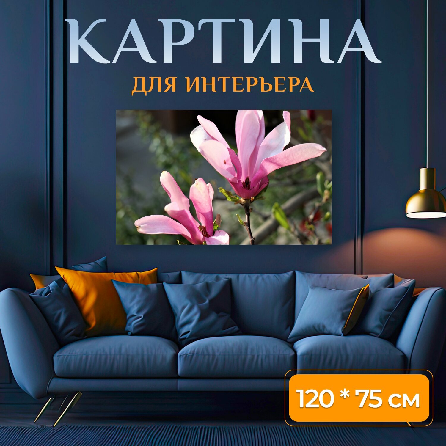 Картина на холсте "Магнолия, цветок магнолия цвет, розовый" на подрамнике 120х75 см. для интерьера
