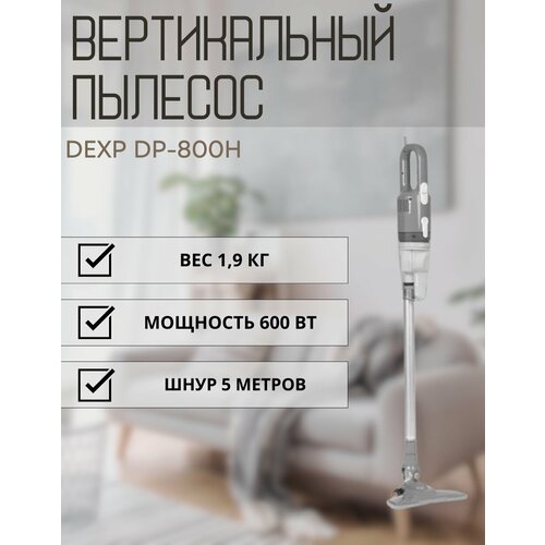 Пылесос DEXP DP-800H серый
