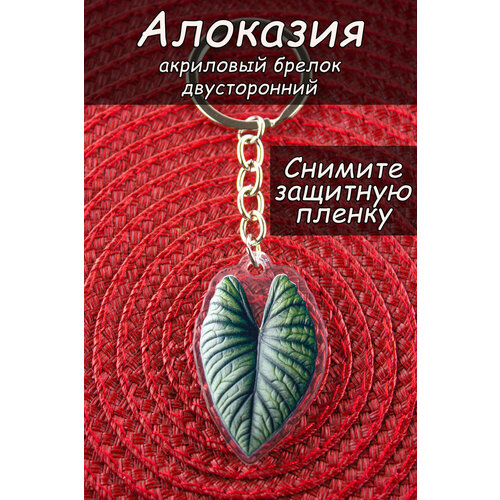 Брелок, глянцевая фактура, зеленый, бесцветный