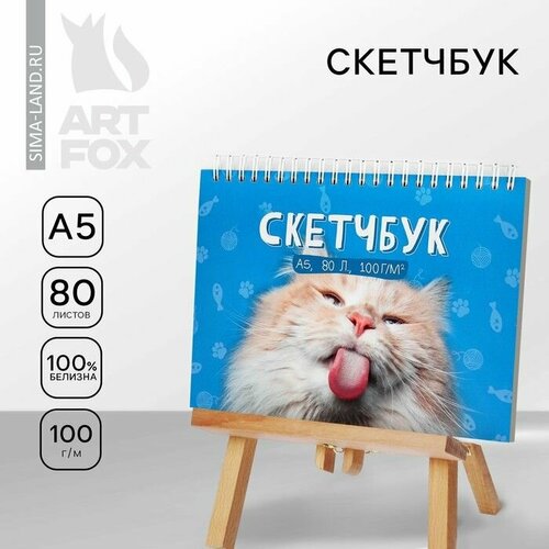 Скетчбук А5 80 листов твердая обложка Кот 561₽