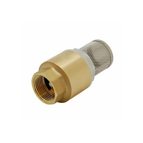 Обратный клапан с сеткой SM-02604 34 F сердечник пластик 540₽