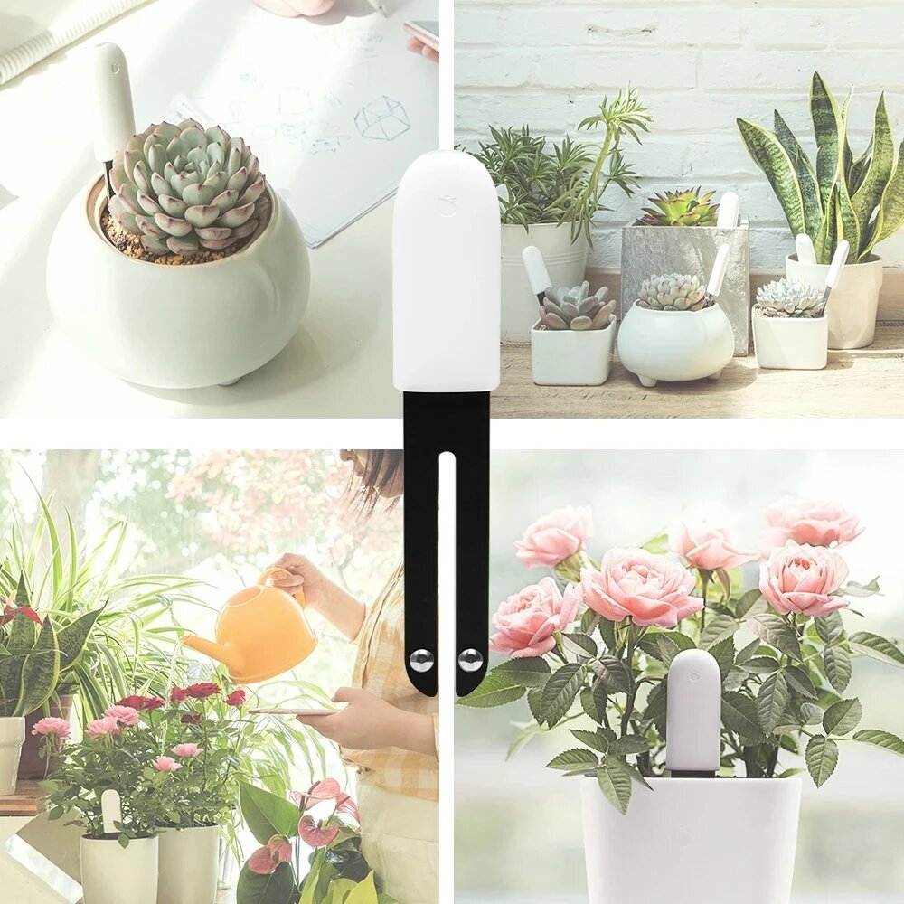 Изображение Xiaomi HHCC Flower Monitor, White