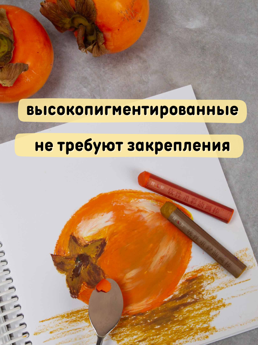 Пастель масляная для рисования художественная, 24 цвета +2 белых — фото 1