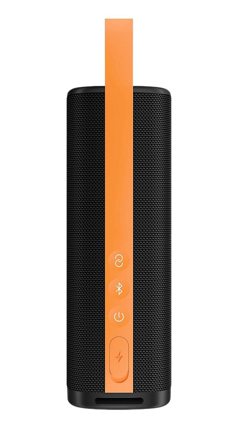 Колонка Xiaomi Sound Outdoor 30W S29D MDZ-38-DB Black — фото 1