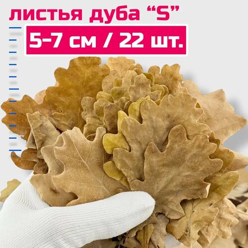 Листья дуба S22 шт для аквариума для креветок для раков для молоди рыб натуральный кондиционер аквариума 376₽