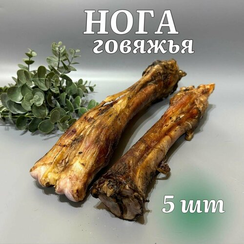 Лакомства для собак "Хищный нос" - Нога говяжья 5 шт