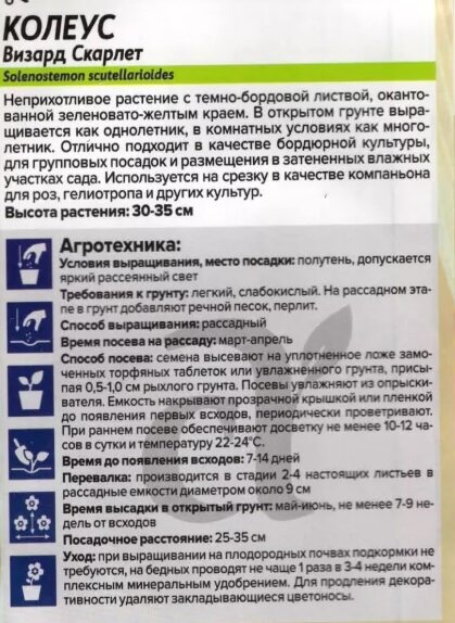 Семена Набор семян Золотое сердце осени (Цинерария Серебряный кораблик, Бархатцы Одри Еллоу, Колеус Скарлет)