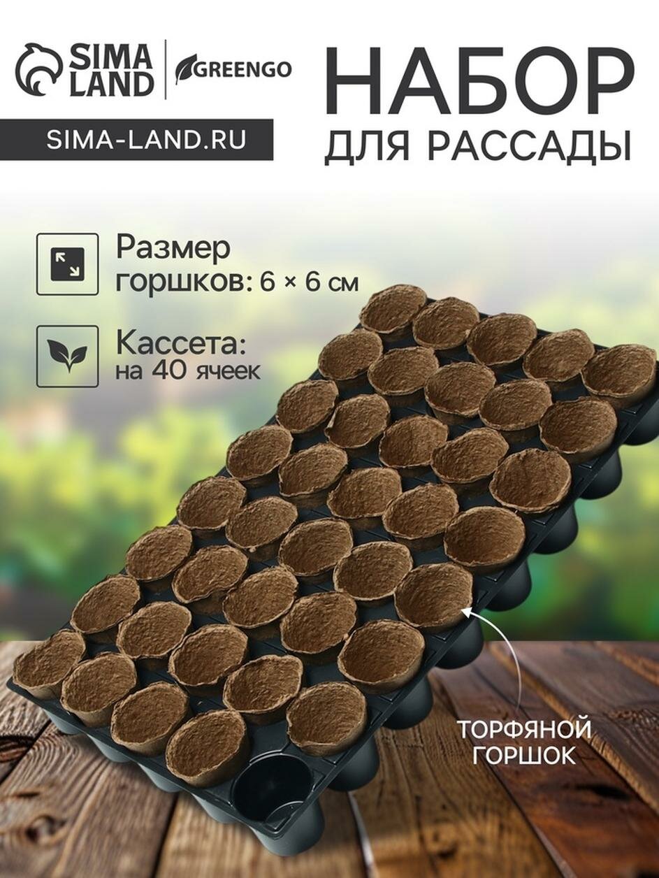 Набор для рассады: торфяной горшок 6 × 6 см кассета на 40 ячеек Greengo