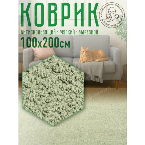 фото Ковер комнатный напольный с ворсом для зала 100х200 vdomberi