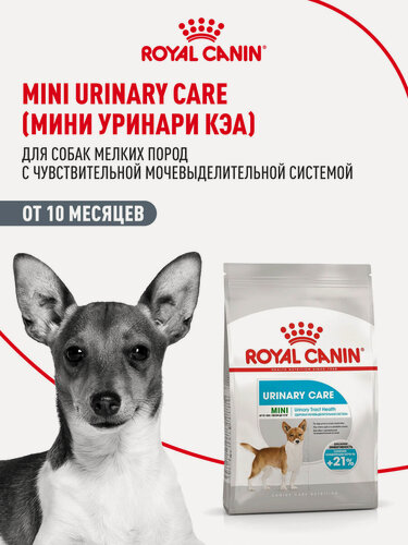 Изображение товара Сухой корм для собак мелких пород Royal Сanin Mini Urinary Care для чувствительной мочевыделительной системы, 1 кг