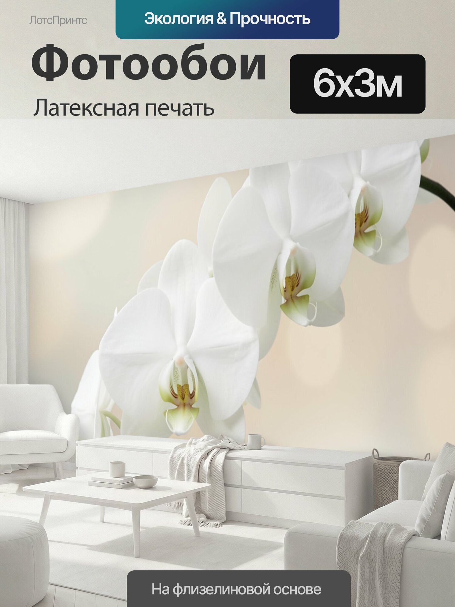 Фотообои моющиеся ударопрочные "Белая орхидея на мягком фоне. Изящная ветвь тропического цветка с крупными молочно-белыми лепестками, нежные." 600x300 см. латексная печать